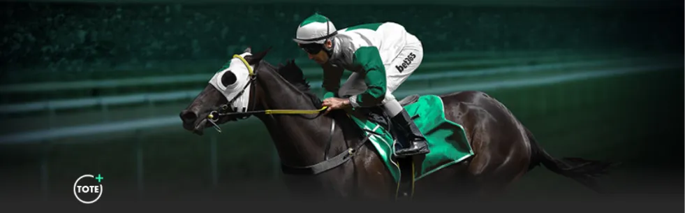 王楚钦决战,梁靖崑,今晚金牌之,百家乐投注,百家乐下注,百家乐推荐,在线百家乐,真人百家乐,百家乐平台