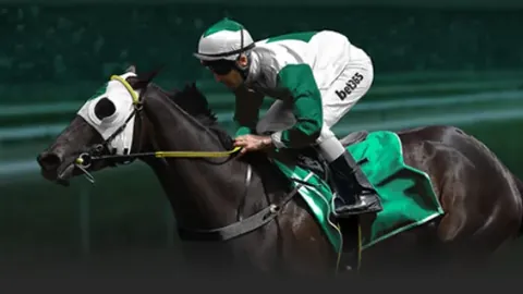 王楚钦决战梁靖崑，今晚金牌之战一触即发