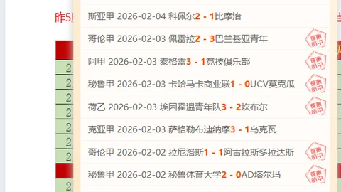 32岁球星绝杀制胜，德甲强队一球小胜豪门，升至联赛第三！